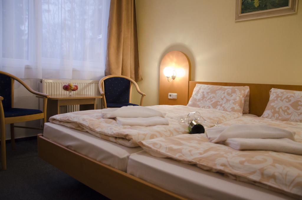 Hotel Zatisi Frantiskovy Lazne Phòng bức ảnh